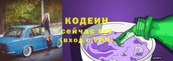 метадон Инта