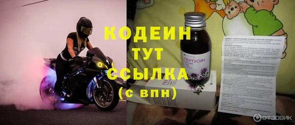 метадон Инта