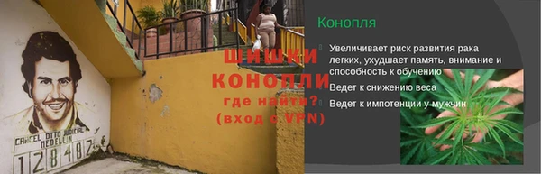метадон Инта