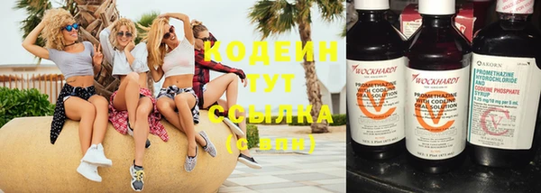метадон Инта