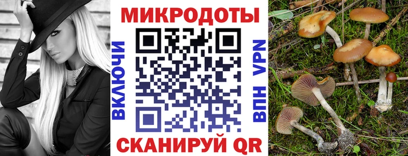 Псилоцибиновые грибы мицелий  Купить где  Мончегорск 
